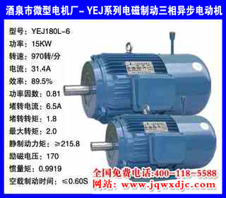 15KW ���� YEJϵ�е���ƶ�����綯�� YEJ180L-6